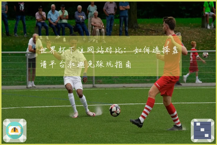 世界杯下注网站对比：如何选择靠谱平台和避免踩坑指南