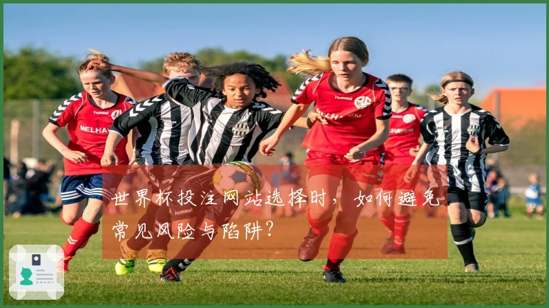 世界杯投注网站选择时，如何避免常见风险与陷阱？