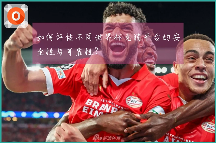 如何评估不同世界杯竞猜平台的安全性与可靠性？