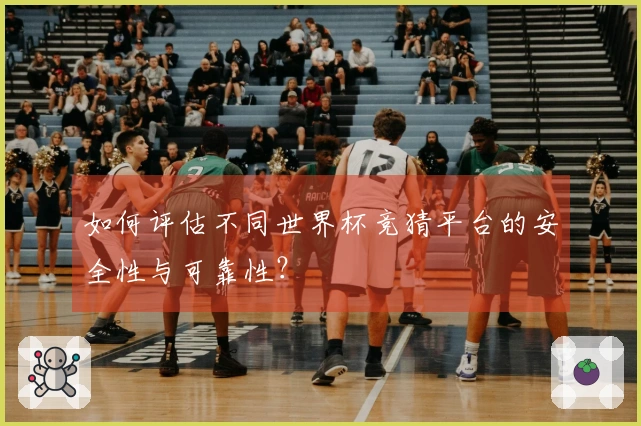 如何评估不同世界杯竞猜平台的安全性与可靠性？