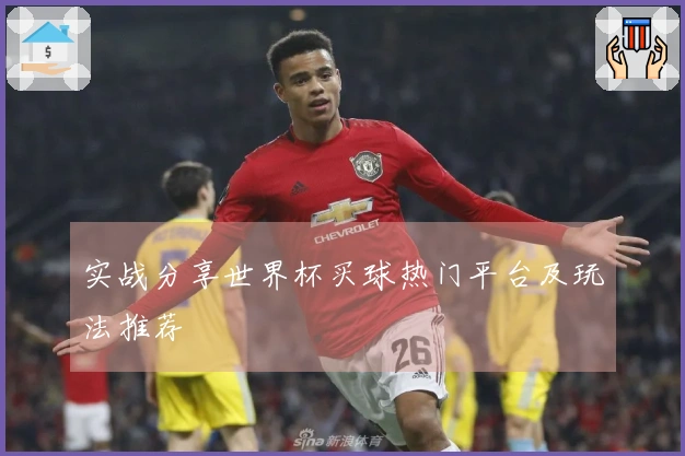 实战分享世界杯买球热门平台及玩法推荐