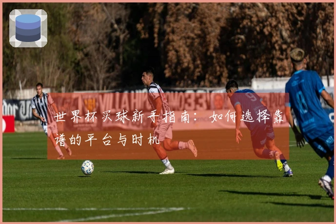 世界杯买球新手指南：如何选择靠谱的平台与时机